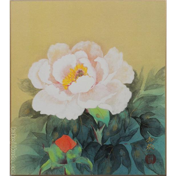 高級色紙 牡丹 加弥 色紙絵 Ys 1023 掛け軸 絵画の専門店 掛軸堂画廊 通販 Yahoo ショッピング