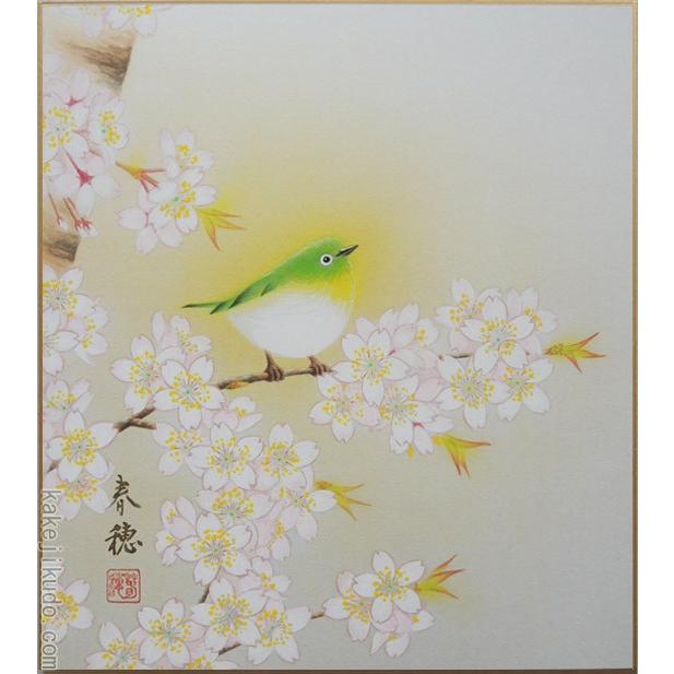 掛け軸 平野宏仙 『 桜に小禽 』 絹本 希少 軸装 茶道具 掛軸 美品 です。 高級色紙「桜に小禽」春穂（色紙絵） : 掛け軸・絵画の専門店 掛軸堂