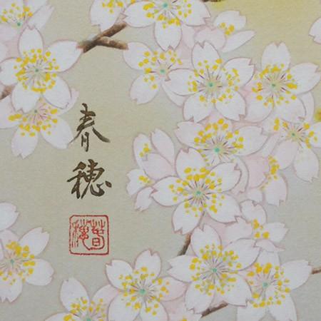 高級色紙「桜に小禽」春穂（色紙絵） : 掛け軸・絵画の専門店 掛軸堂