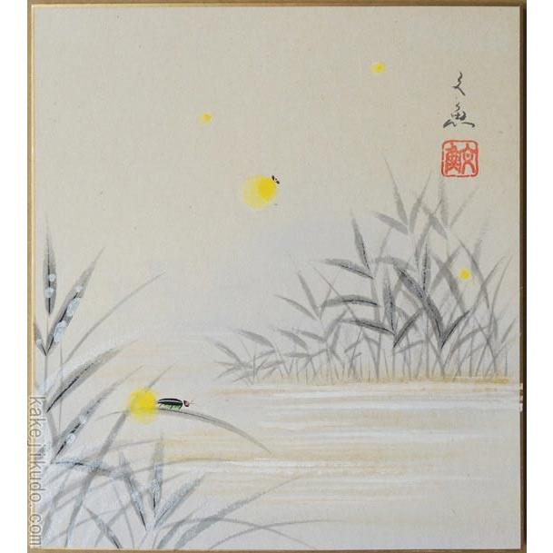 高級色紙「蛍」文魚（色紙絵） : 掛け軸・絵画の専門店 掛軸堂画廊