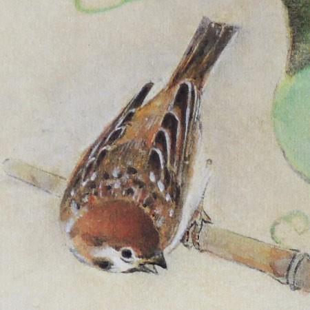 高級色紙「瓢箪（ひょうたん）」康多（色紙絵） : 掛け軸・絵画の専門
