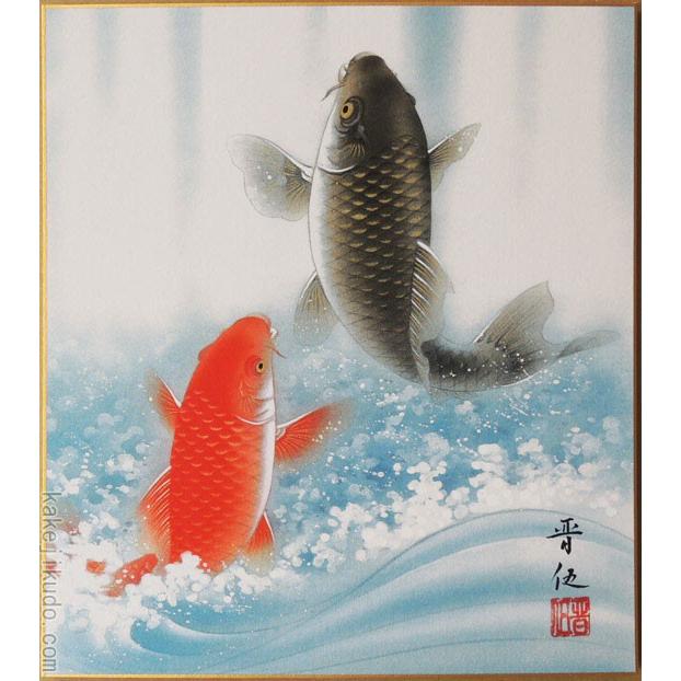 高級色紙「金運大昇鯉」晋伍（色紙絵） : 掛け軸・絵画の専門店 掛軸堂