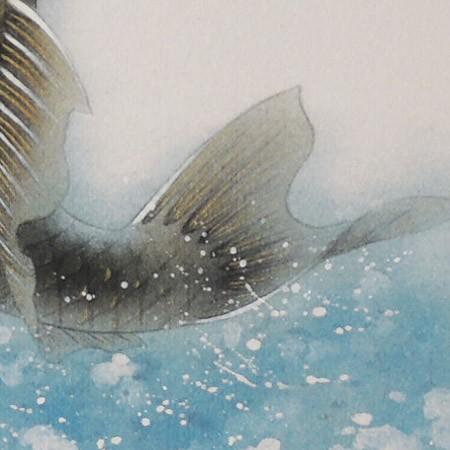 「金運大昇鯉」佐藤晋伍色紙絵 高級色紙「金運大昇鯉」晋伍（色紙絵） : 掛け軸・絵画の専門店 掛軸堂
