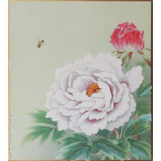 高級色紙 牡丹 紅雲 色紙絵 Ys 13 掛け軸 絵画の専門店 掛軸堂画廊 通販 Yahoo ショッピング