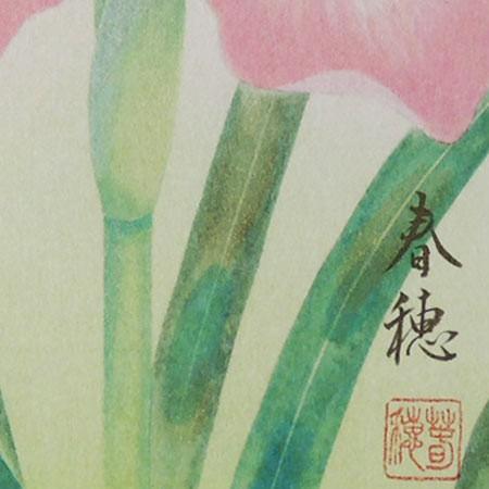 高級色紙「菖蒲」春穂（色紙絵） : 掛け軸・絵画の専門店 掛軸堂画廊