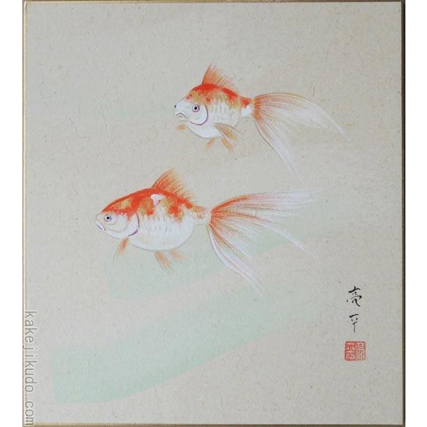 高級色紙「金魚」亮平（色紙絵） : 掛け軸・絵画の専門店 掛軸堂画廊