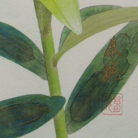 高級色紙「百合」春穂（色紙絵） : 掛け軸・絵画の専門店 掛軸堂画廊