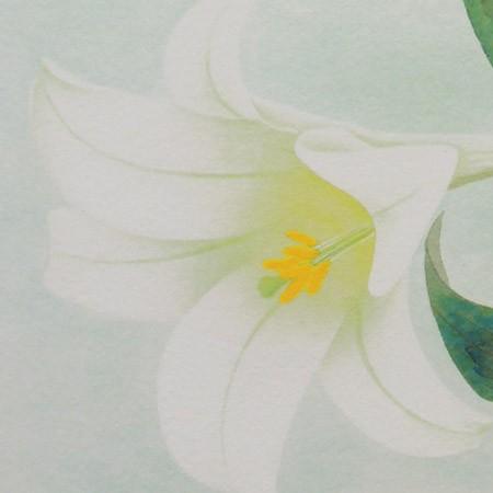 高級色紙「百合」春穂（色紙絵） : 掛け軸・絵画の専門店 掛軸堂画廊
