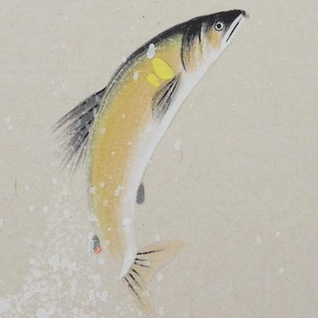 高級色紙「鮎」文魚（色紙絵） : 掛け軸・絵画の専門店 掛軸堂画廊