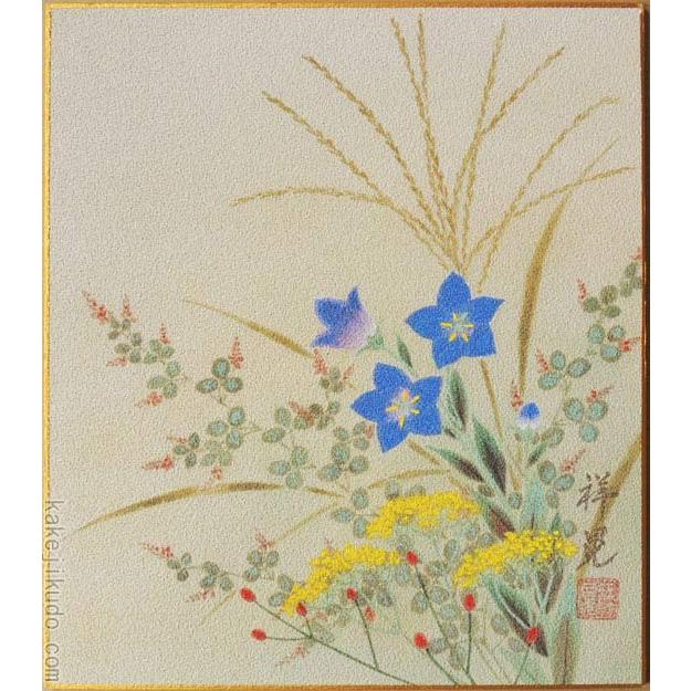 高級色紙「秋草」祥晃（色紙絵） : 掛け軸・絵画の専門店 掛軸堂画廊