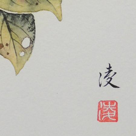 高級色紙「柿」凌（色紙絵） : 掛け軸・絵画の専門店 掛軸堂画廊