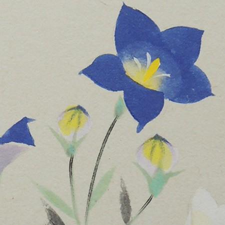 高級色紙「桔梗」文魚（色紙絵） : 掛け軸・絵画の専門店 掛軸堂画廊
