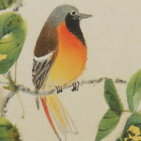 高級色紙「あけび」邦夫（色紙絵） : 掛け軸・絵画の専門店 掛軸堂画廊 