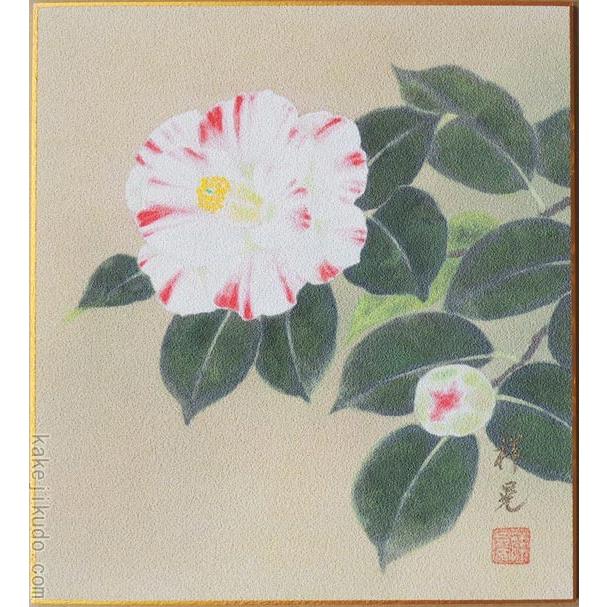 高級色紙「椿」祥晃（色紙絵） : 掛け軸・絵画の専門店 掛軸堂画廊