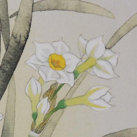 高級色紙「水仙」凌（色紙絵） : 掛け軸・絵画の専門店 掛軸堂画廊