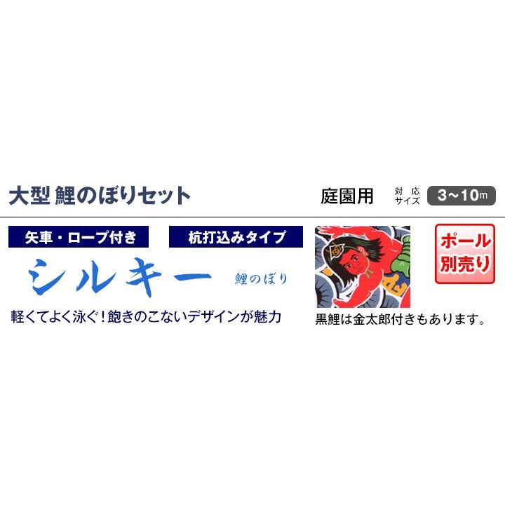 高評価続出！ こいのぼり 庭園用 旭天竜 【2019年新作】 鯉幟 セット各種（ポール別売） 鯉3匹6点セット 「シルキー金太郎鯉セット」 【CEG1736295824】(61650円)
