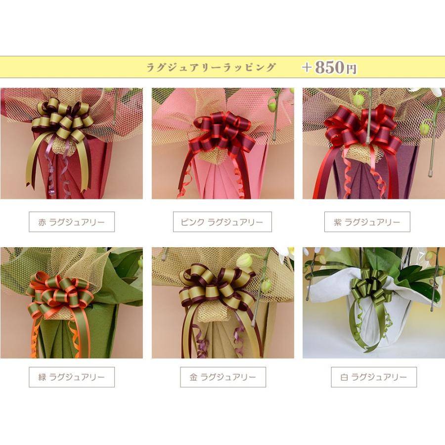 ★11時間以内発送★美品 お中元 胡蝶蘭 大輪7本立ち77輪以上 白 会社設立 オープン 内祝い スタンド 大輪 ３本立ち ５本立ち お悔や花 お供え 葬儀 葬式 仏事 法事 １回忌 献花 おしゃれ 【9732816050】(34558円)