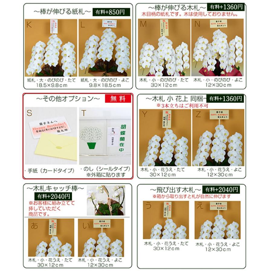 ★11時間以内発送★美品 お中元 胡蝶蘭 大輪7本立ち77輪以上 白 会社設立 オープン 内祝い スタンド 大輪 ３本立ち ５本立ち お悔や花 お供え 葬儀 葬式 仏事 法事 １回忌 献花 おしゃれ 【9732816050】(34558円)