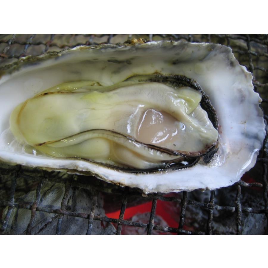 殻付き 牡蠣 ３ｋｇ 冷蔵便 兵庫県 相生海域 漁師 が販売 とれたて新鮮で す 生食用 かき こだわりの牡蠣工房 ふくえい 通販 Yahoo ショッピング