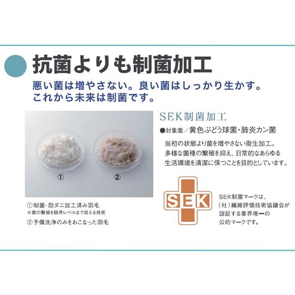 フランスベッド（FRANCEBED） 羽毛掛けふとん 2枚合わせ ダブルサイズ