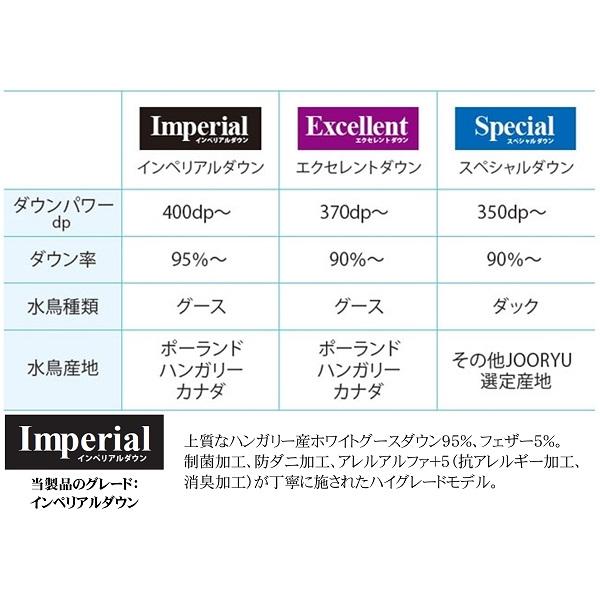 フランスベッド AS Nシステマックス プラチナEW95（2枚掛け羽毛）　新品 楽天市場】羽毛布団 ダブル フランスベッド 掛け布団 【 JOORYU