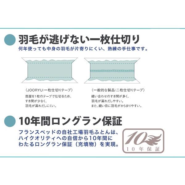 フランスベッド 　羽毛　掛け布団　ダブルサイズ　2枚合わせ フランスベッド（FRANCEBED） 羽毛掛けふとん ダブルサイズ 2枚合わせ