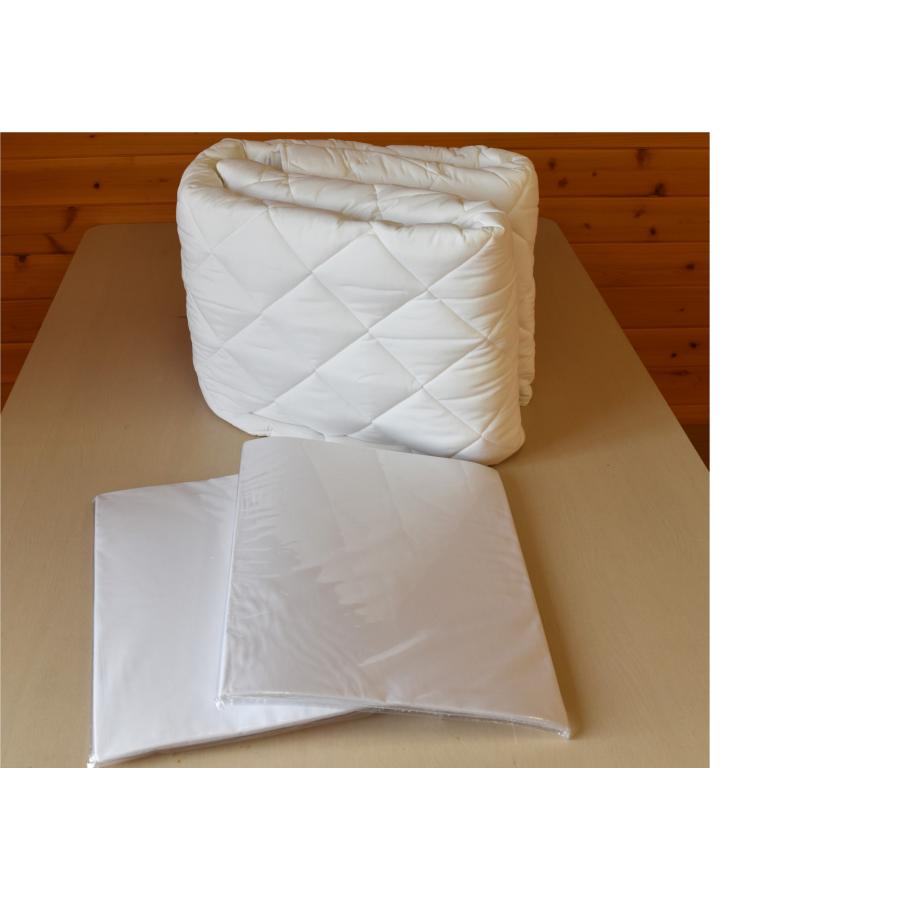 フランスベッド ② ワイドダブル　プロテクターポリ3点セット thum_making7_bio_2.webp