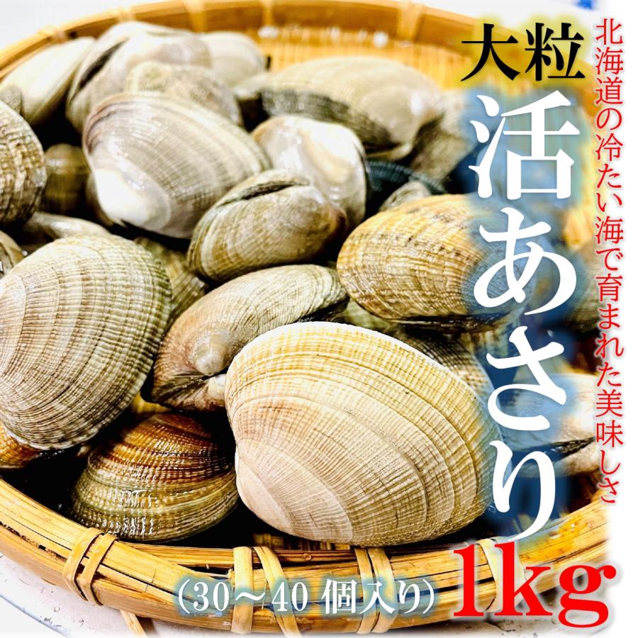 活あさり 1kg 北海道産 大粒 1個20〜30g 大粒あさり 国産 あさり 天然