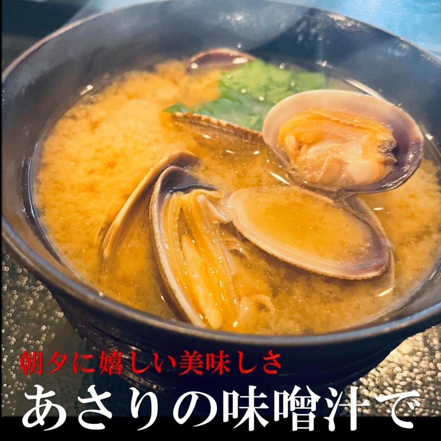 活あさり 1kg 北海道産 大粒 1個20〜30g 大粒あさり 国産 あさり 天然あさり アサリ  浅利 活貝｜kakiyanokakiya｜07