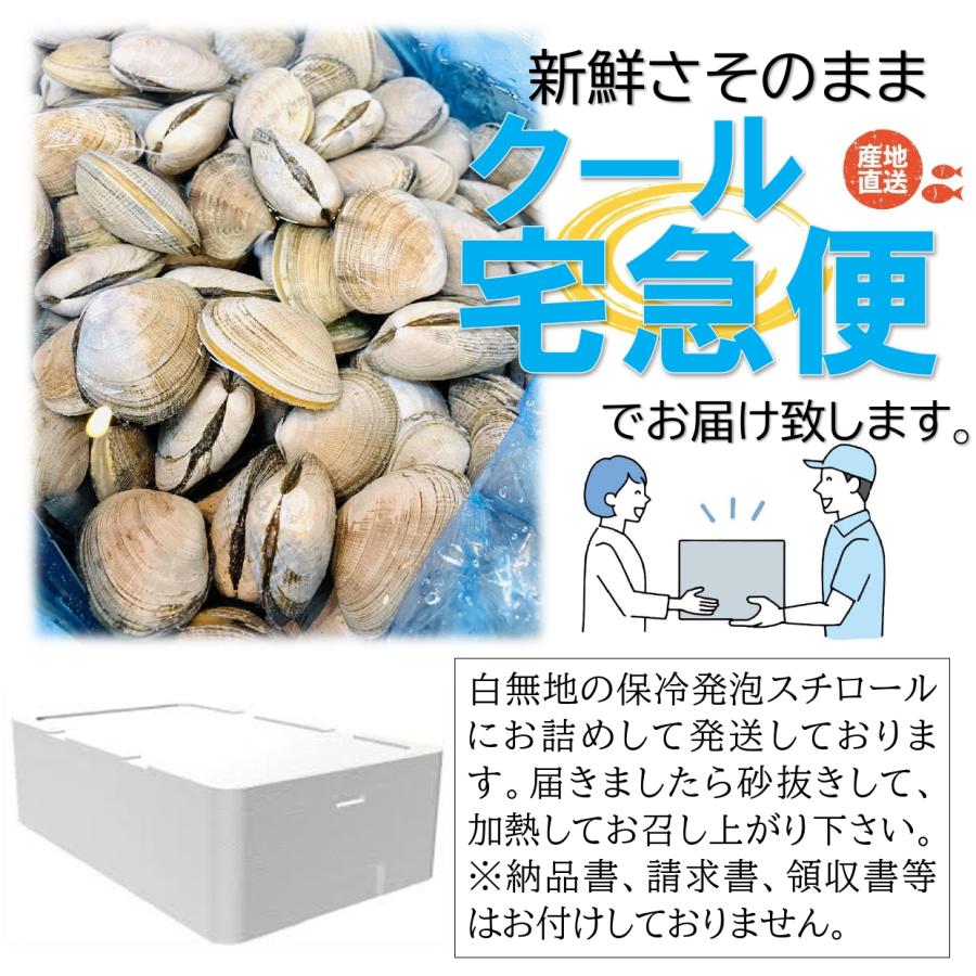 活あさり 1kg 北海道産 大粒 1個20〜30g 大粒あさり 国産 あさり 天然あさり アサリ  浅利 活貝｜kakiyanokakiya｜09