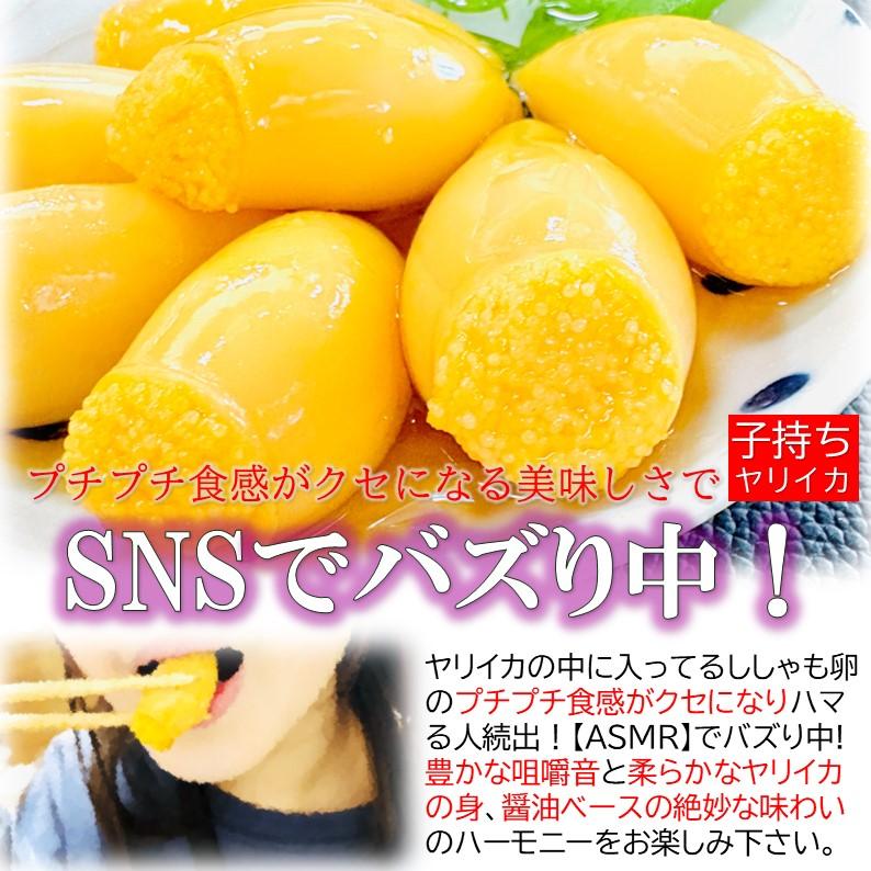 子持ち ヤリイカ 徳用 500g/PC＋柚子唐辛子付き/Sサイズ(約30個位入