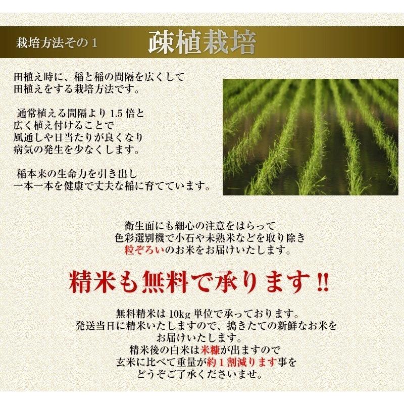 令和５年産　米 10kg 送料無料　秋田県産 あきたこまち 玄米 10kg 一等米　白米 9kg　お米　お祝い　御贈答　｜kakizakiya｜05