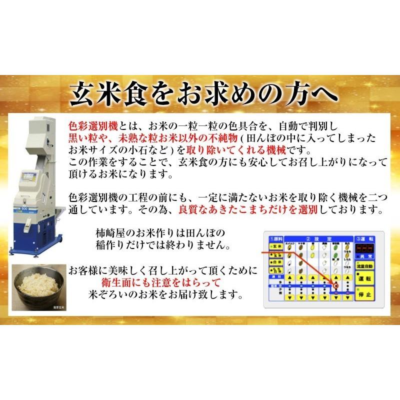 令和５年産　米 10kg 送料無料　秋田県産 あきたこまち 玄米 10kg 一等米　白米 9kg　お米　お祝い　御贈答　｜kakizakiya｜06