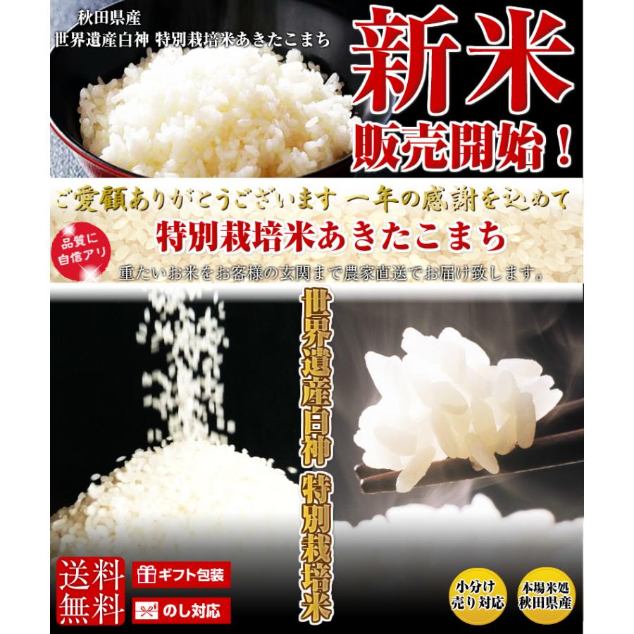 令和6年 秋田県産 新米 あきたこまち 一等米 減農薬栽培米 玄米20kg