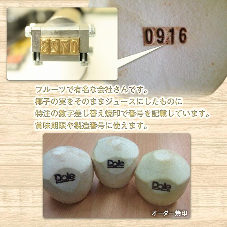 焼印 焼き印 5ケタまで 50本付 数字の差し替え焼印セット 電気式 数字