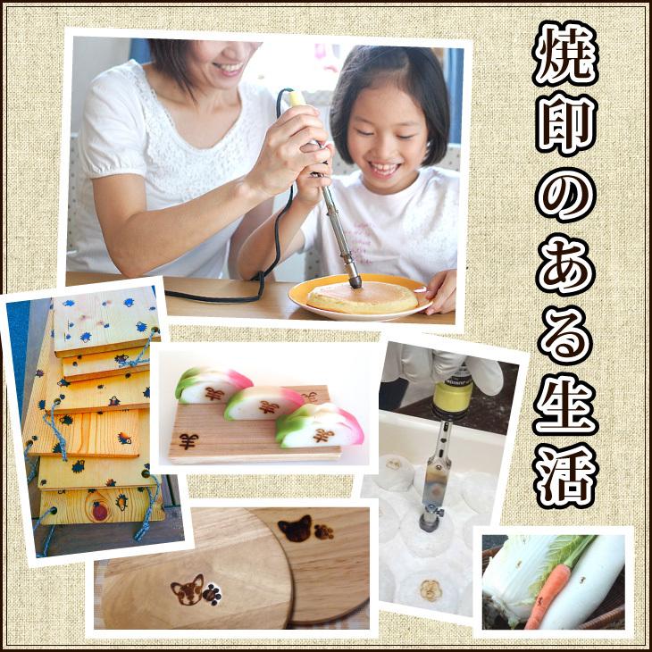 焼印 焼き印 パワーコントローラー大、焼印2つと電気コテ（150W)1