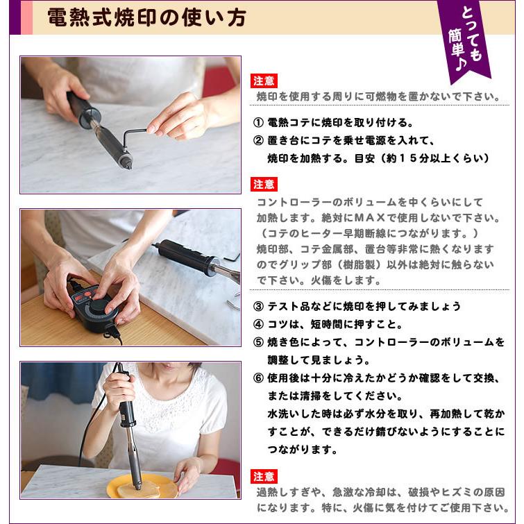 焼きごて 焼印　電熱焼印セット　焼印 ２個　電気コテ（１５０W) 松　千鳥 imgrc0080460300.jpg