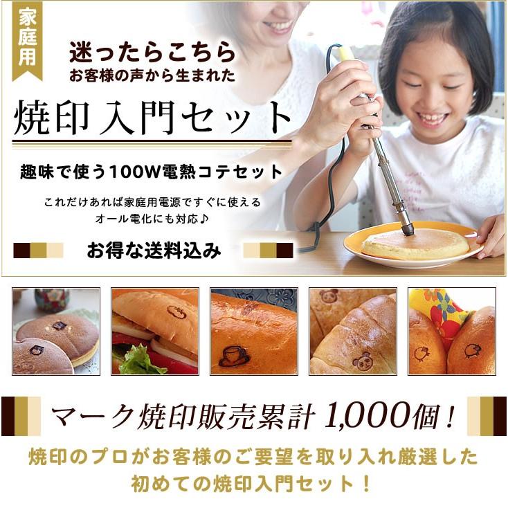 焼印 入門セット 家庭用 送料込 初心者に！100W電熱コテ パワー