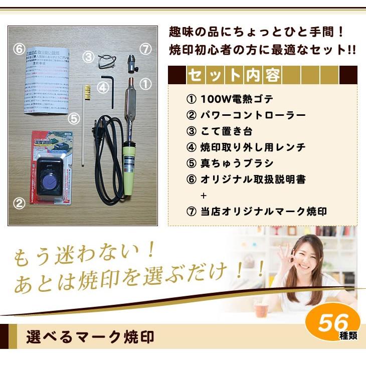 焼印 入門セット 家庭用 送料込 初心者に！100W電熱コテ パワー