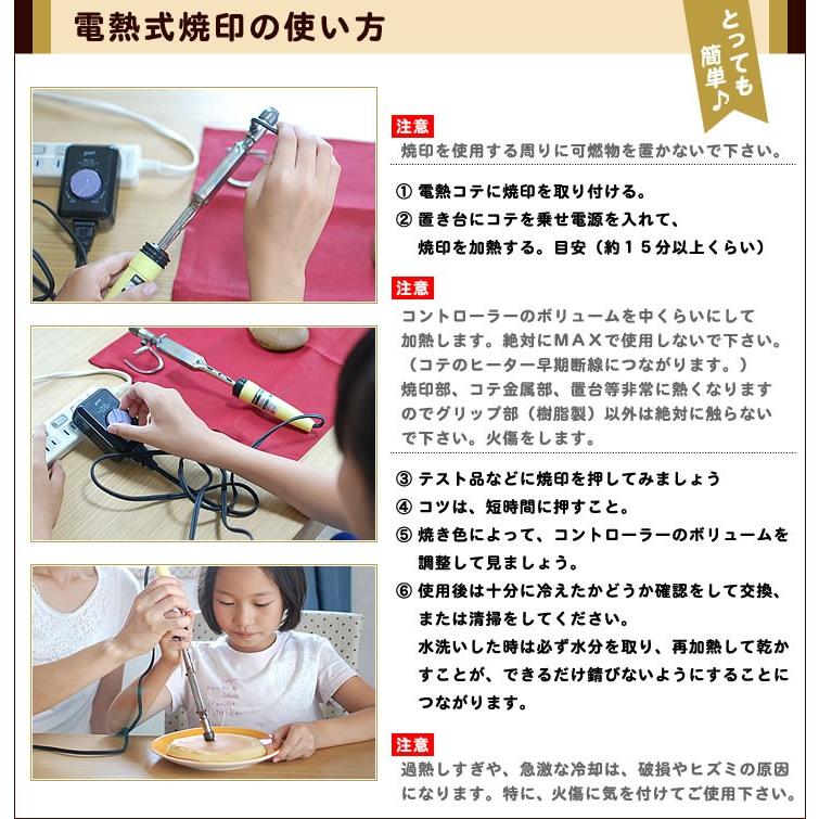 焼印 入門セット 家庭用 送料込 初心者に！100W電熱コテ パワー