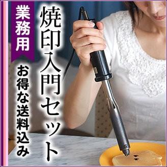 焼印 入門セット 業務用 初心者 200W電熱コテ パワーコントローラー小 ブラシ付 オリジナルデザインから選べる 鋳鉄 特典付