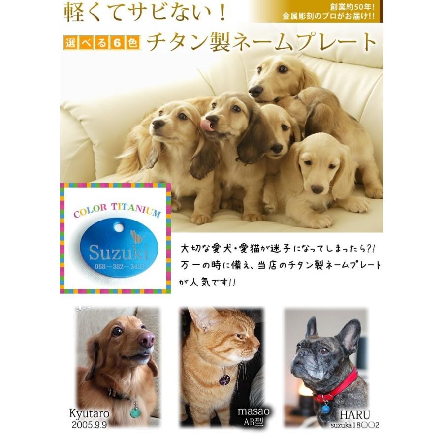 迷子札 カラー チタン 犬 ねこ アクア 水色 QRコードOK 両面彫刻オプションにて 【名入れ無料】【送料無料】 : 焼印 ネームプレートの加古彫刻  - 通販 - Yahoo!ショッピング