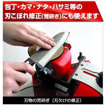 値下げ】ニシガキ カンタン刃研ぎ名人チップソー 黒