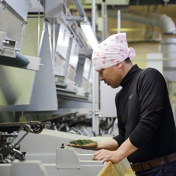 角田製茶 おすすめギフトセット 特上奥八女煎茶、奥八女水出し茶 角田製茶 おすすめギフトセット 特上奥八女煎茶、奥八女水出し茶