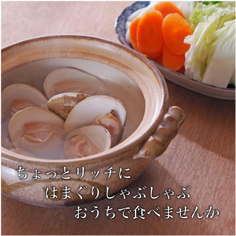 高評価なギフト 活かしはまぐり 500g Mサイズ 12 15個 q 雛祭り ギフト お食い初め はまぐり鍋 バーベキュー 中国産 桑名 畜養 魚介類 Cisama Sc Gov Br