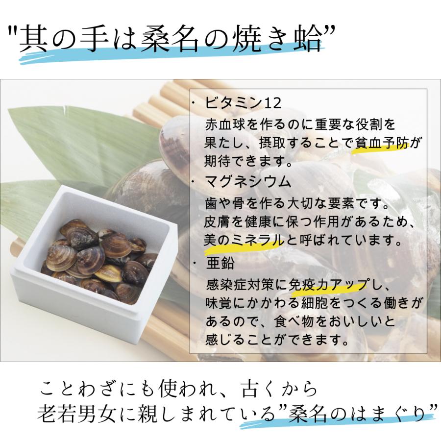 活かしはまぐり 1kg Lサイズ 約15-20個 BBQ はまぐり鍋 ギフト お食い初め バーベキュー  酒蒸し 特大 中国産 桑名 畜養 はまぐり ハマグリ｜kakukisuisan｜05