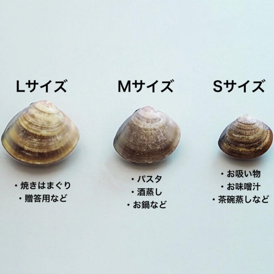 桑名産天然はまぐり 1kg Lサイズ 約10-15個 贈答用 ギフト お中元 はまぐり鍋 BBQ 祝い事 魚介類 海鮮 |  | 03