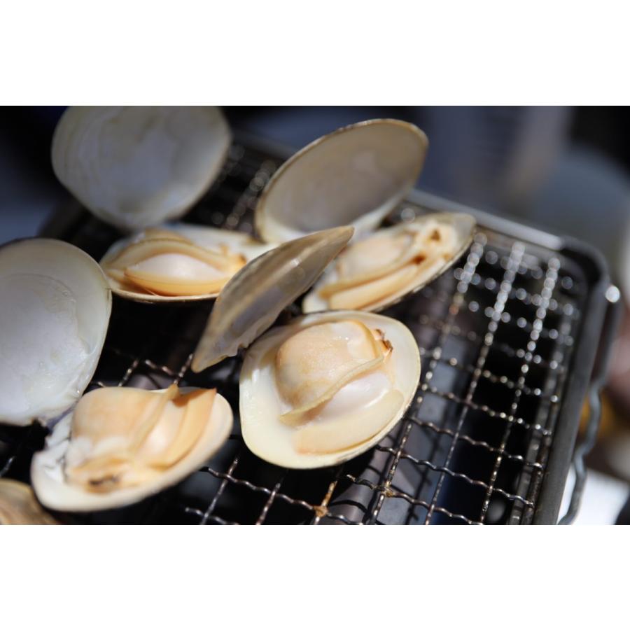 桑名産天然はまぐり 1kg Lサイズ 約10-15個 贈答用 ギフト お中元 はまぐり鍋 BBQ 祝い事 魚介類 海鮮 |  | 06