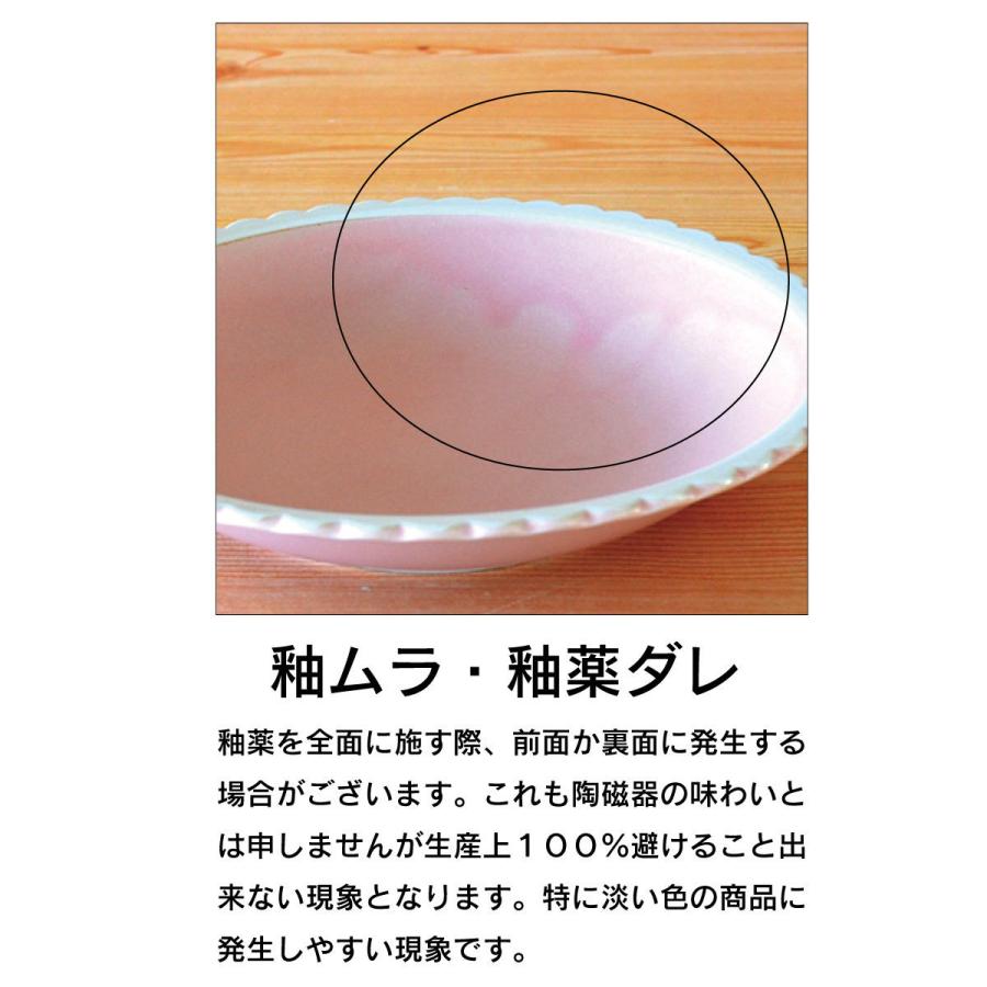 カレー皿 【さかなカレー皿2枚セット】子供用 北欧 おしゃれ 2枚セット