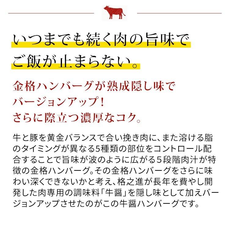 格之進 牛醤 ハンバーグ 20個セット ギフト 冷凍 送料無料 無添加 国産牛 白金豚_2